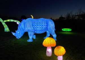 lit up rhino