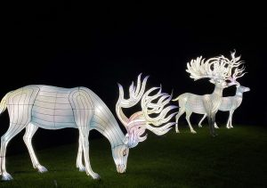 lit up reindeer