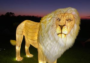 lit up lion