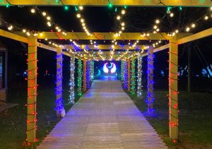 lit up tunnel