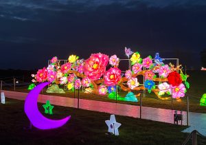 lit up flower bed