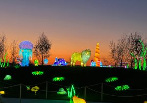 lion and jellywish lights