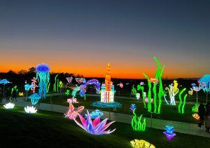 sea creature lights