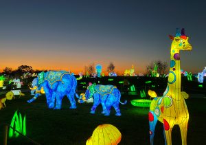 giraffe and elephant lights
