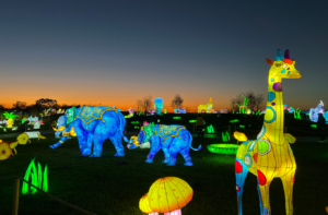 light up animals