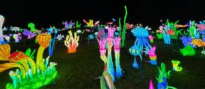 Thursford Enchanted Journey of Light underwater world